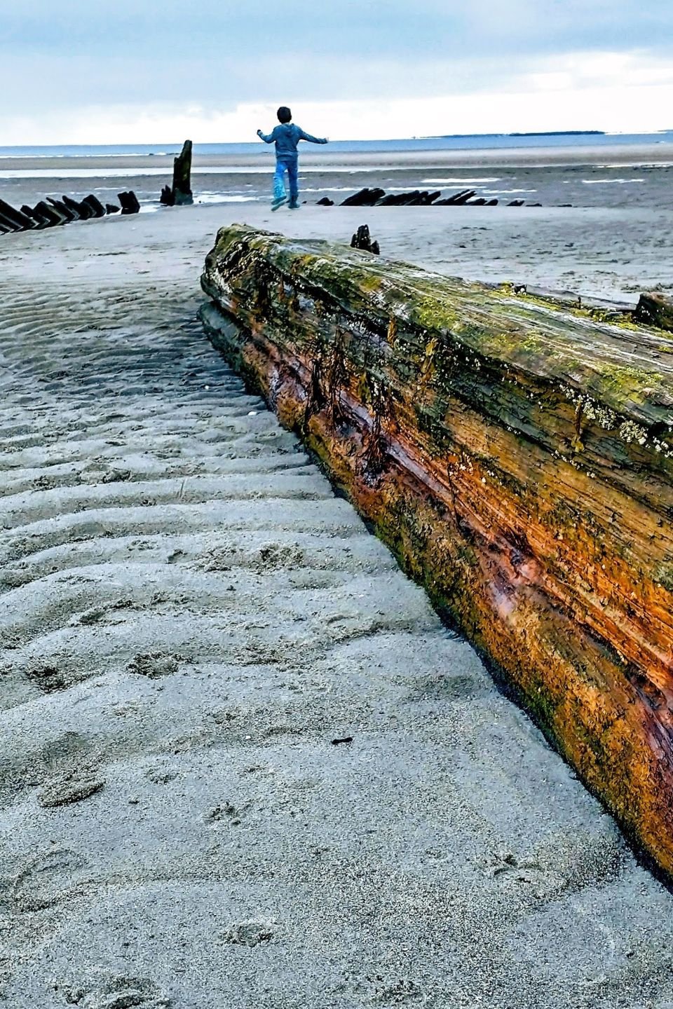 A shipwreck lies on a beach with rib-like timbers protruding through the sand and a large kelson stretching into the distance
