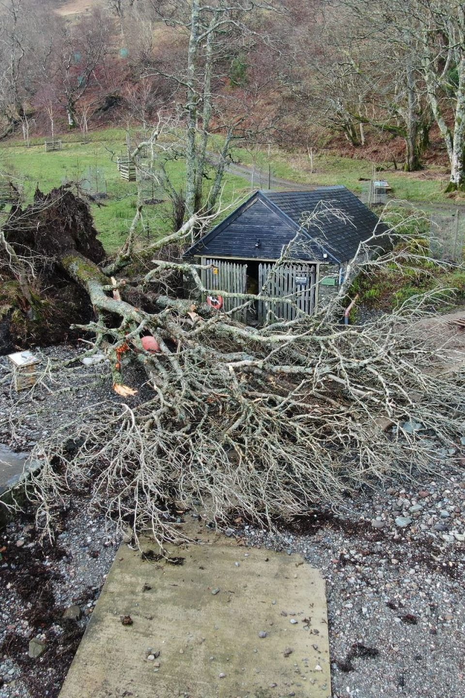 Storm Eowyn Damage