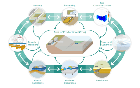 Moscicki et al 2025_Comprehensive seaweed COP