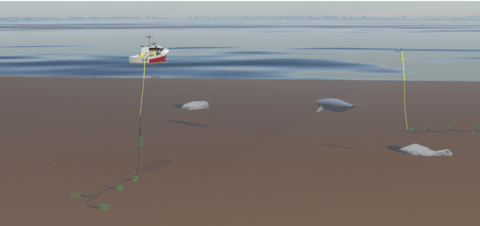 Concept overview of Knotless Gear: yellow semi-rigid vertical lines connect surface gear to lobster traps joined by textile lines on the seafloor.
